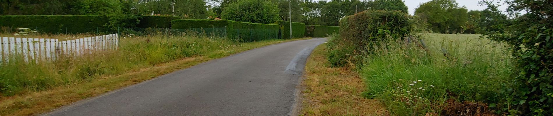 Randonnée Vélo de route Pornic - lundi 3 juin 19 - Photo