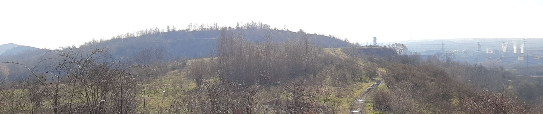 Trail On foot Charleroi - Marche dans l'après-midi - Photo