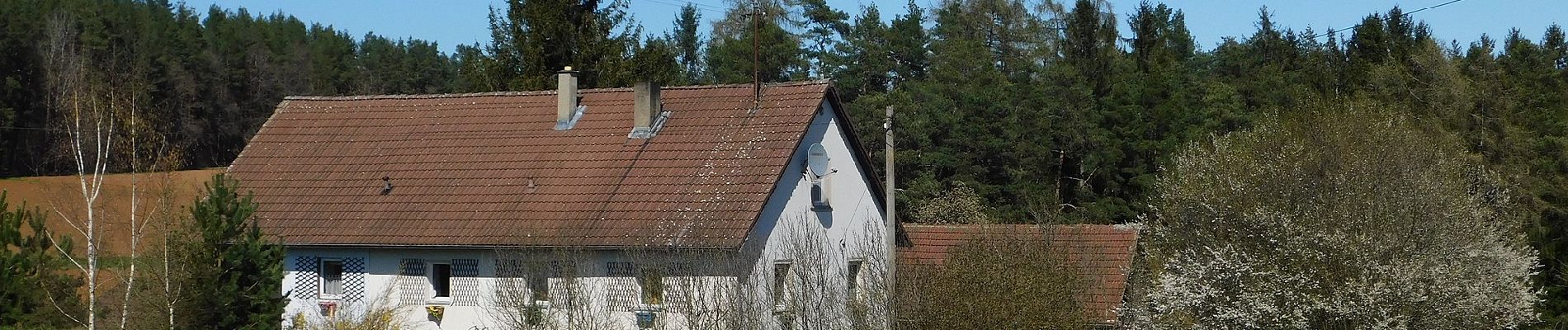 Tocht Te voet Ahorntal - Zu Höhlenbär und Millionär - Photo