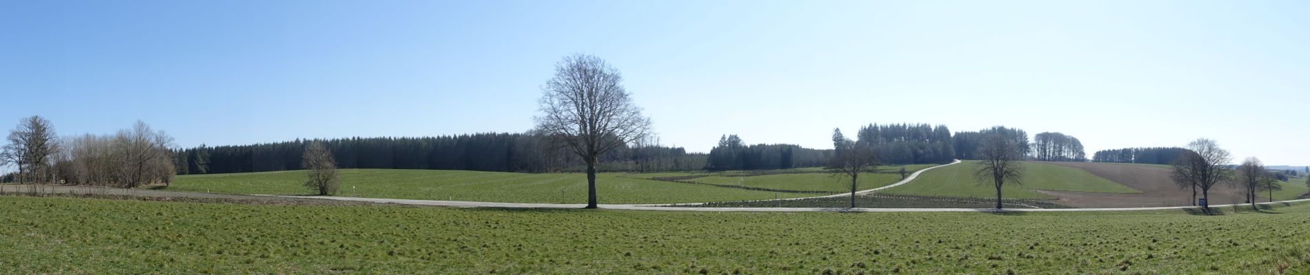 Randonnée Marche Neufchâteau - Massul - Bercheux - Photo