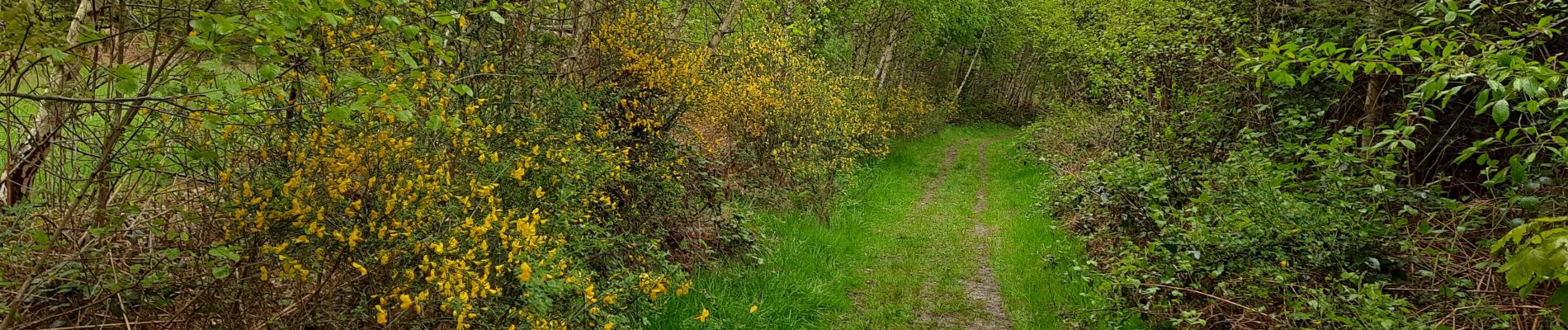 Tocht Stappen Clavier - Pailhe  - Photo