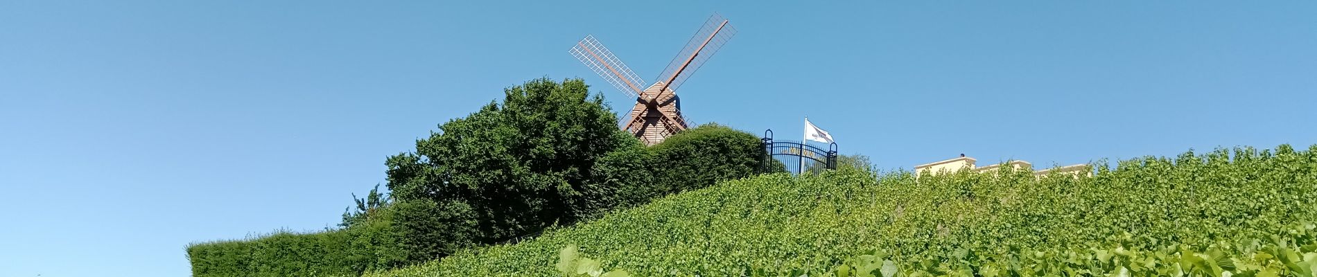 Excursión Senderismo Trépail - Trépail du 12 Juin 2022 - Photo