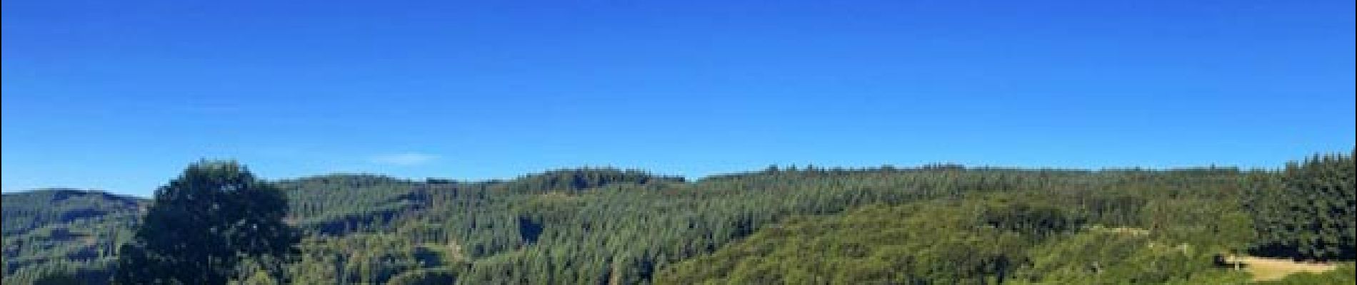 Point d'intérêt Cherier - Panorama sur le bois Tor  - Photo