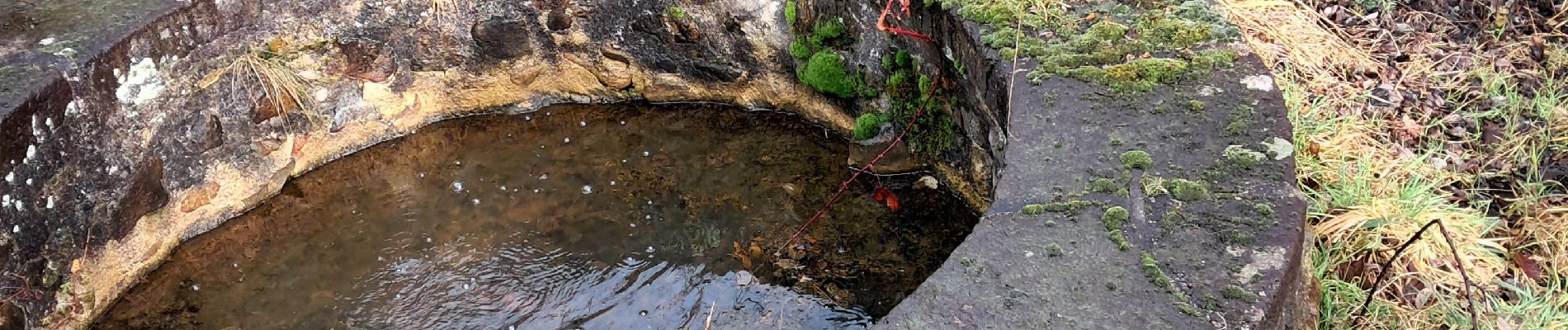 Tour Wandern Combronde - Combronde les Jouffrets la pierre branlante Montcel 21km - Photo