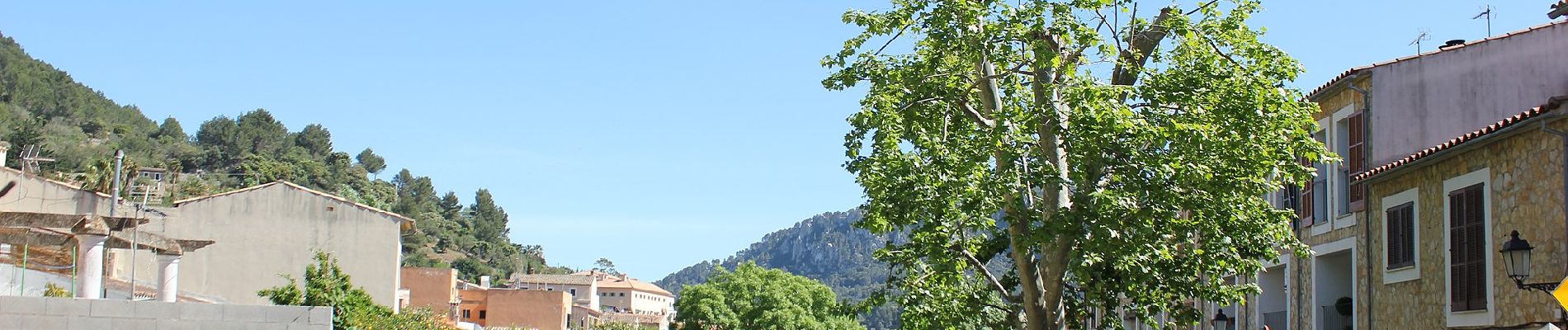 Tour Zu Fuß Banyalbufar - Camí des Pescadors - Photo