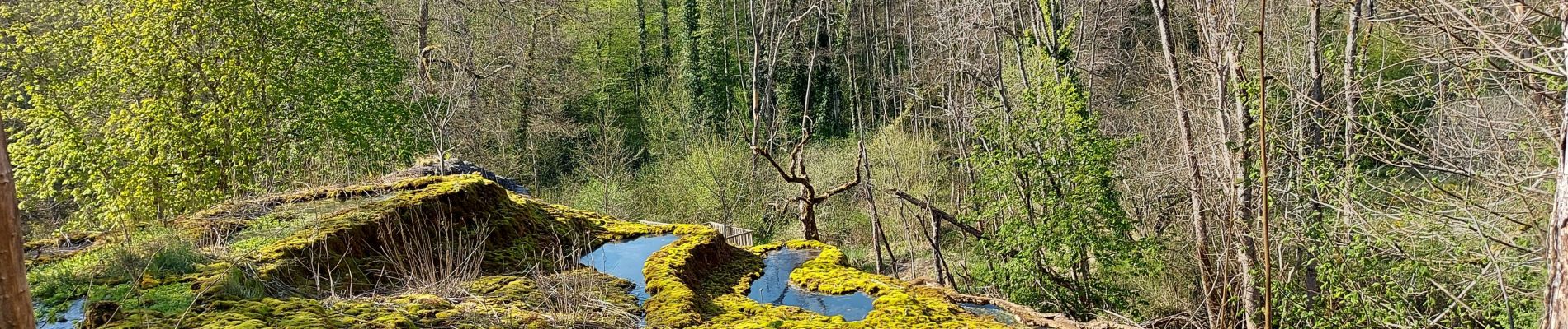 Excursión Bici eléctrica Rolampont - Vallée des Caivottes, Trimeule et Tufiere  - Photo