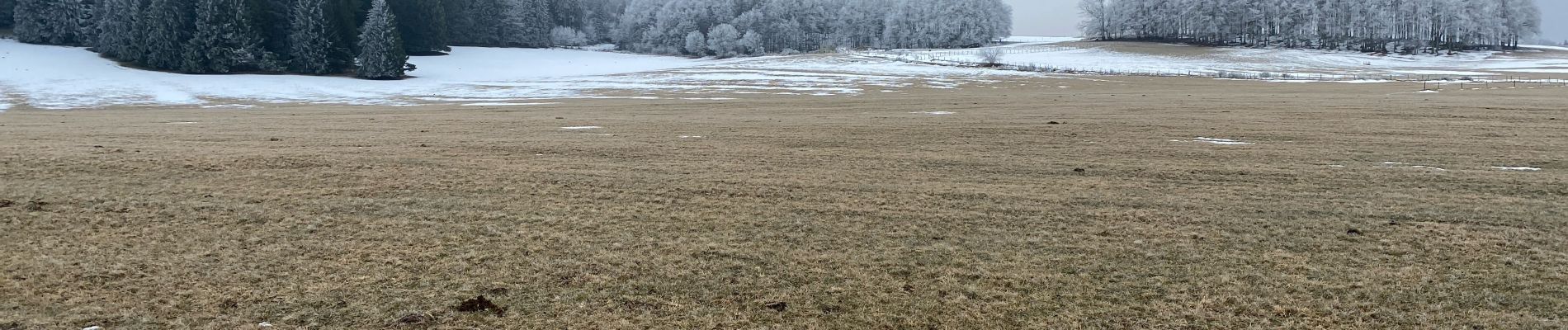 Randonnée Marche Besse-et-Saint-Anastaise - Anglards Bourdouze  (Besse) - Photo