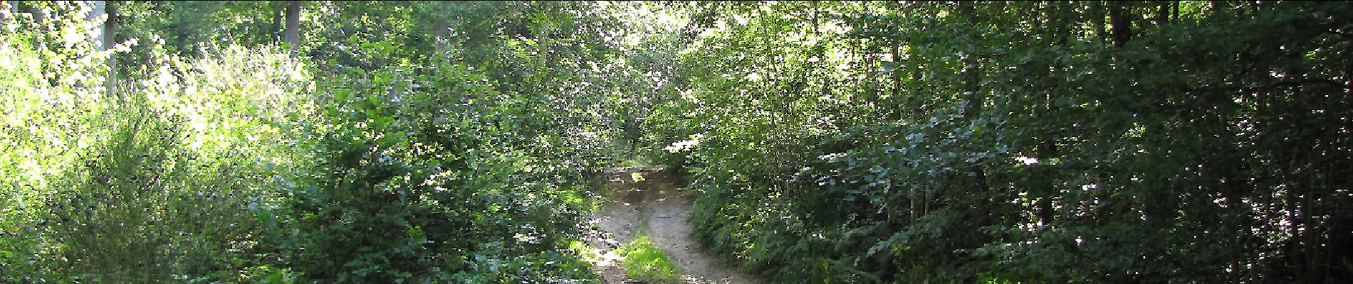 Point d'intérêt Oigny-en-Valois - Point 16 - Photo