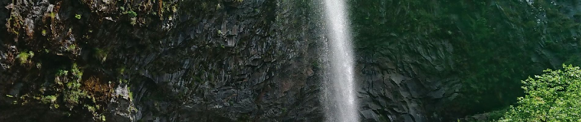 Trail Walking Mont-Dore - Grande Cascade Mont Doré  - Photo