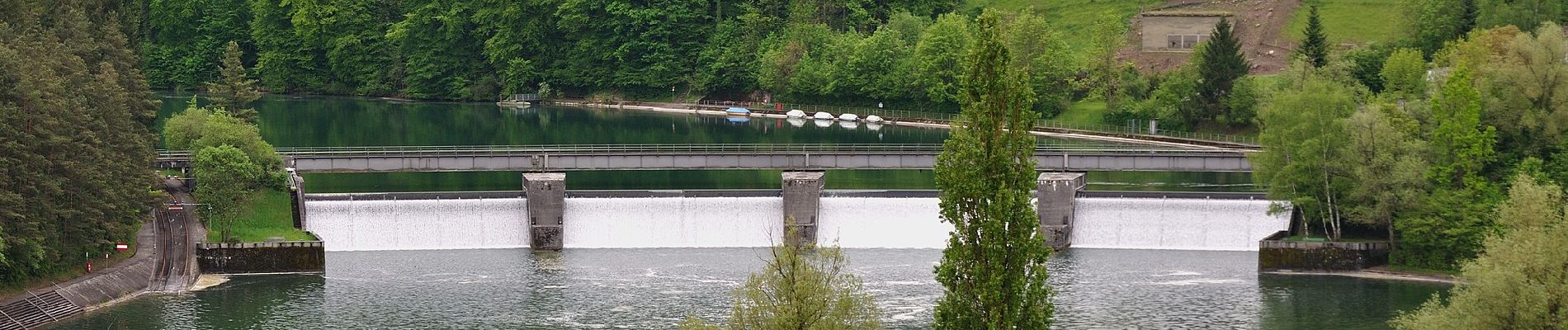 Percorso A piedi Rheinau - Brücke Rheinau - Strick - Photo