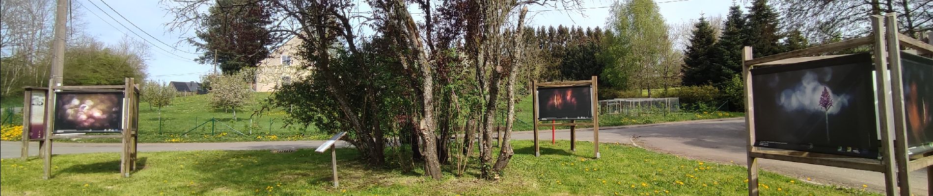 Tocht Te voet Nassogne - Les Saison de la Photos 2024 - Photo