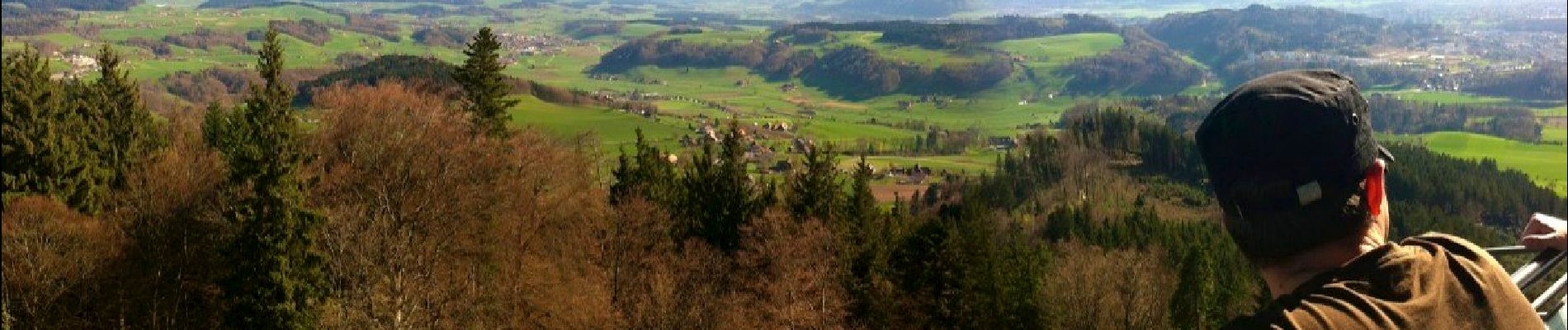 Excursión A pie Bolligen - Deisswil-Cholgrueb - Photo