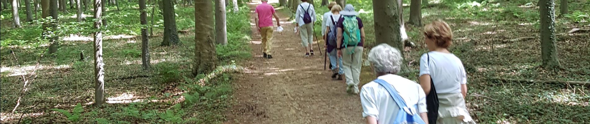 Randonnée Marche Braine-l'Alleud - Paudure_Colipain0720 - Photo