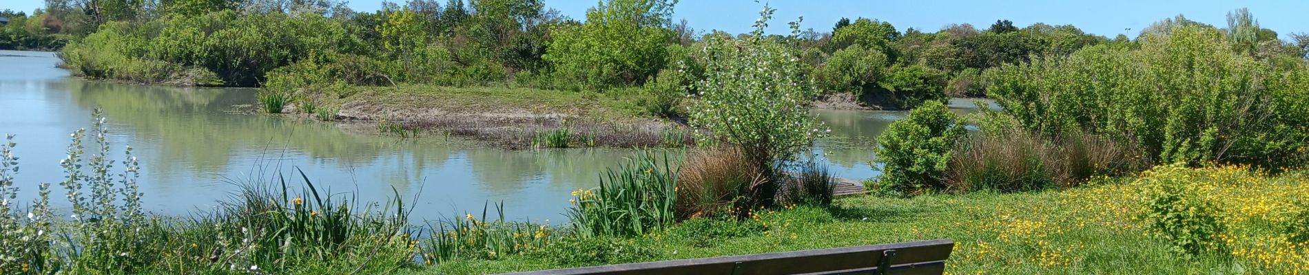 Tocht Stappen La Rochelle - Les marais de Tasdon  - Photo