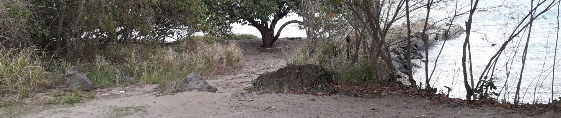 Tour Wandern Le Diamant - O'Mullane - Taupinière en boucle  - Photo