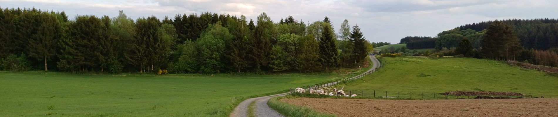 Tour Wandern Bouillon - BruBer/Mogimont #1 - Photo