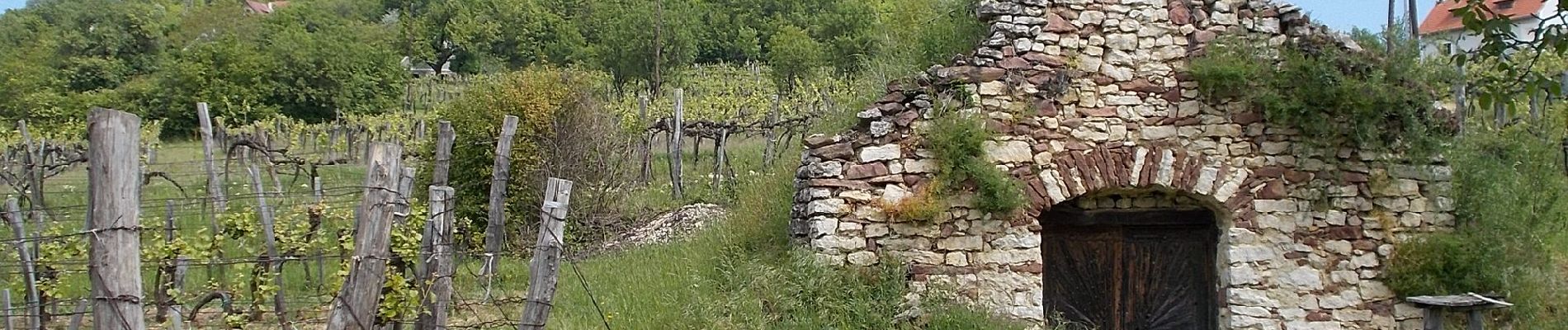 Percorso A piedi Köveskál - K+ (Csere-kút - Köveskál, monoszlói elágazó) - Photo