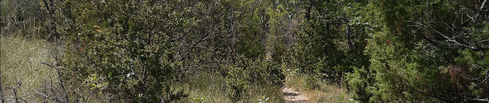 Tocht Stappen Aiguines - Sentier de l'imbut - Photo