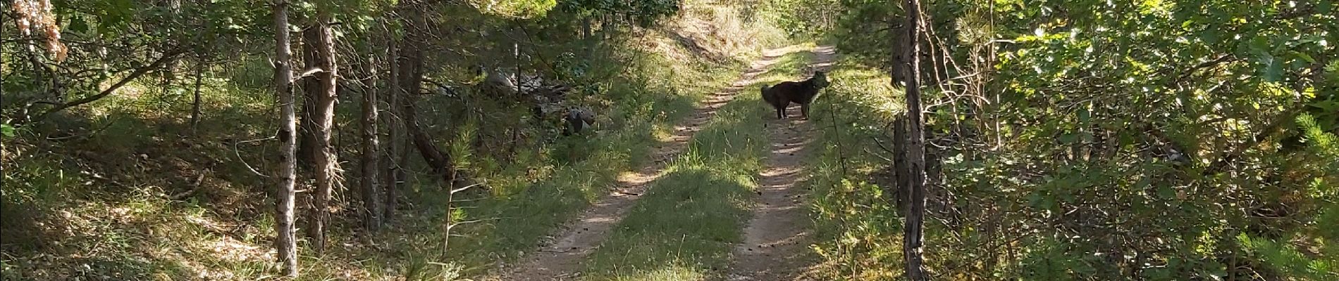 Randonnée Marche Laval-d'Aix - Boucle de Laval d'Aix par le ravin de Fontourse. - Photo