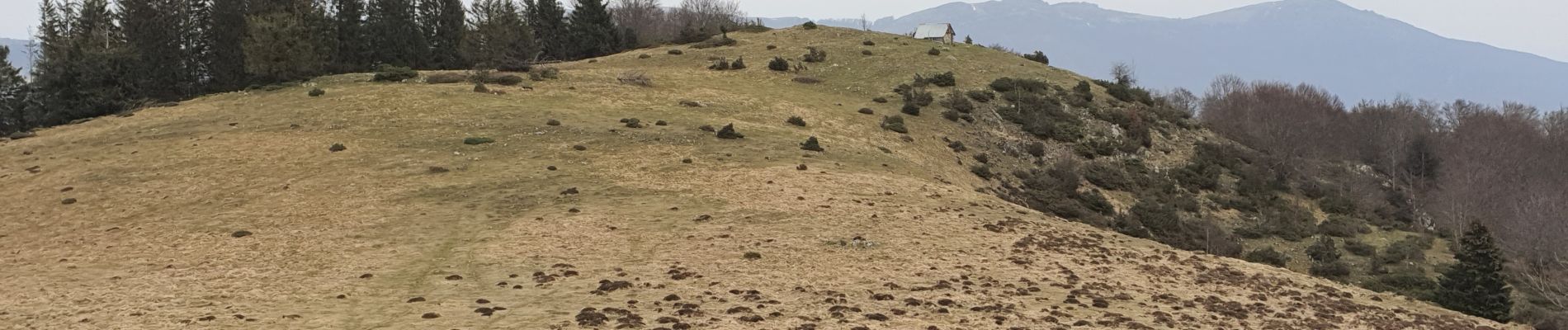 Excursión Senderismo Portet-d'Aspet - Le Puech et cabane de Piejeau en boucle - Photo