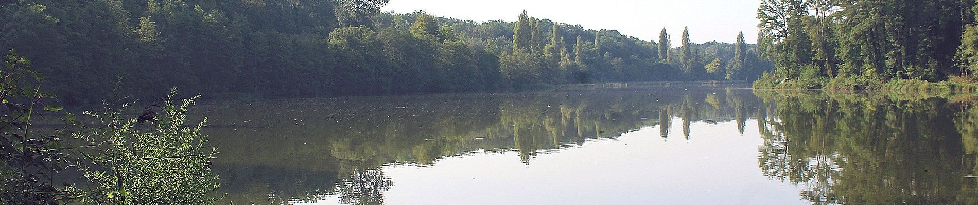 Tocht Te voet Trosly-Breuil - Le Mont-Collet - Photo