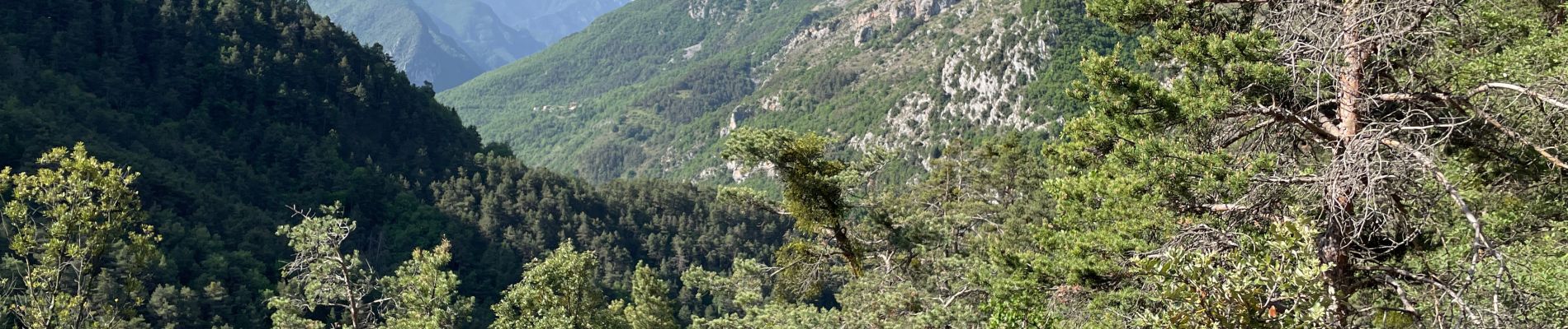 Tour Wandern Lantosque - Granges de la Brasque  - Photo