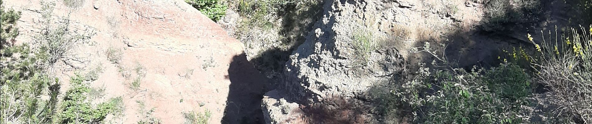 Percorso Corsa a piedi Marnhagues-et-Latour - roquaubel brûle par marquisard  - Photo