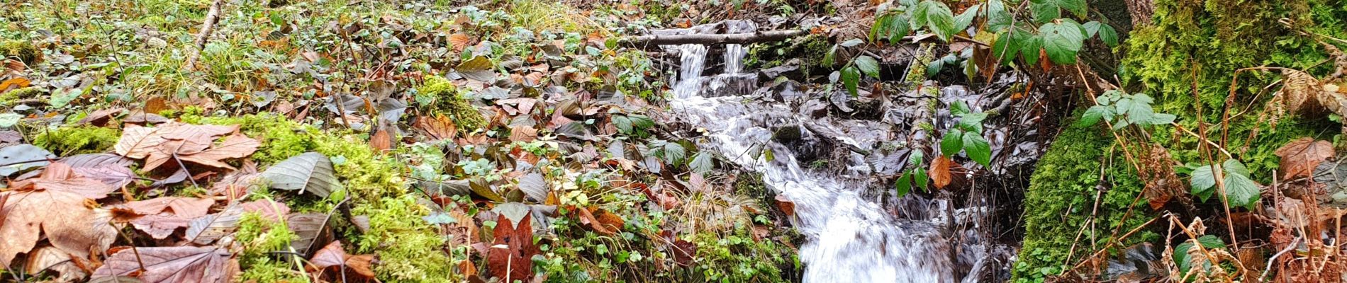 Randonnée Marche Viroinval - Balade dans le Viroinval - De Vierves à Olloy - Photo