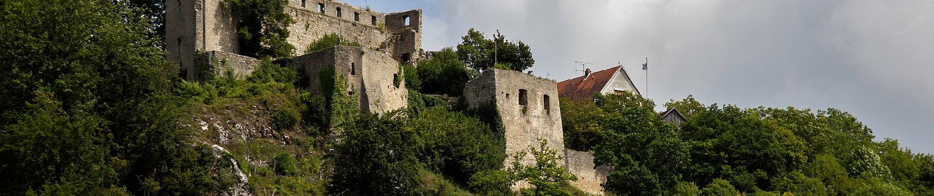 Tour Zu Fuß Essing - Rundweg Essing 6 - Photo