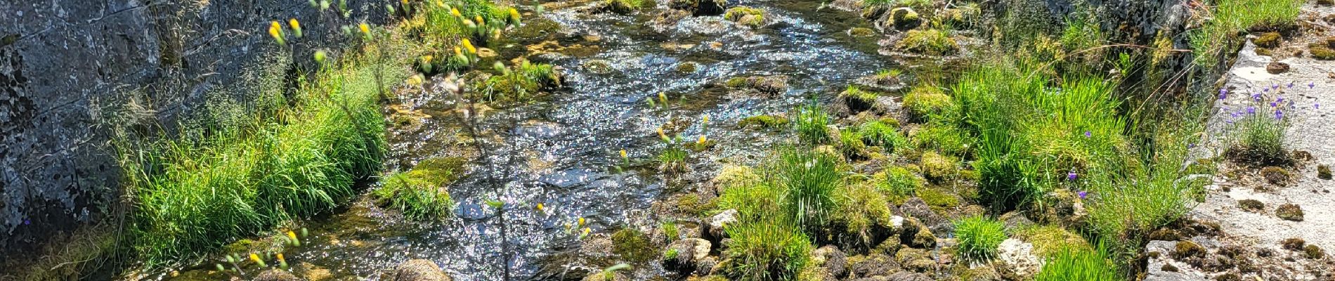 Excursión Cicloturismo Les Rousses - LES ROUSSES - PARCOURS EST VERS LA SUISSE  - Photo