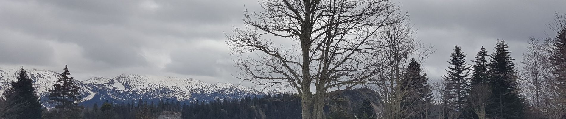 Randonnée Marche Corrençon-en-Vercors - Château Julien - Boucle depuis Corrençon - Photo