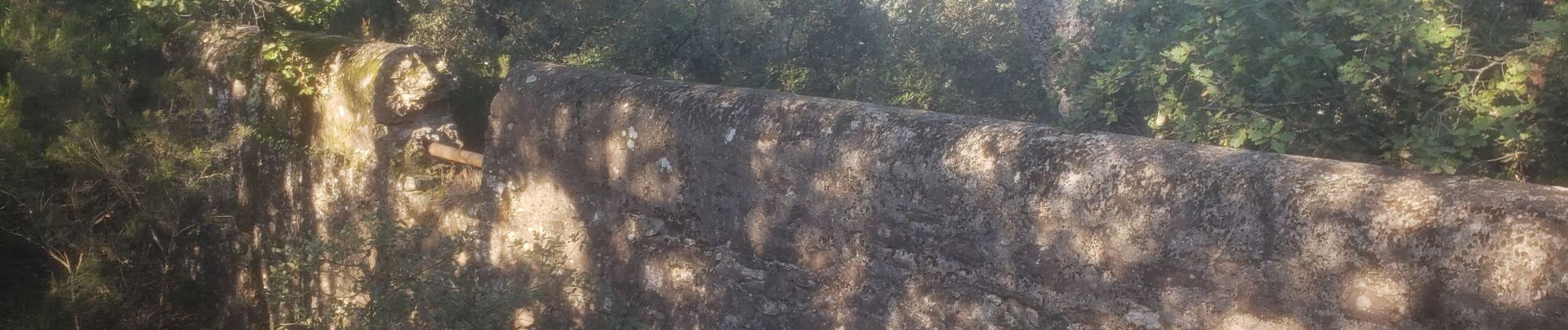 Randonnée Marche Roquebrune-sur-Argens - Le sentier de l'eau - Photo