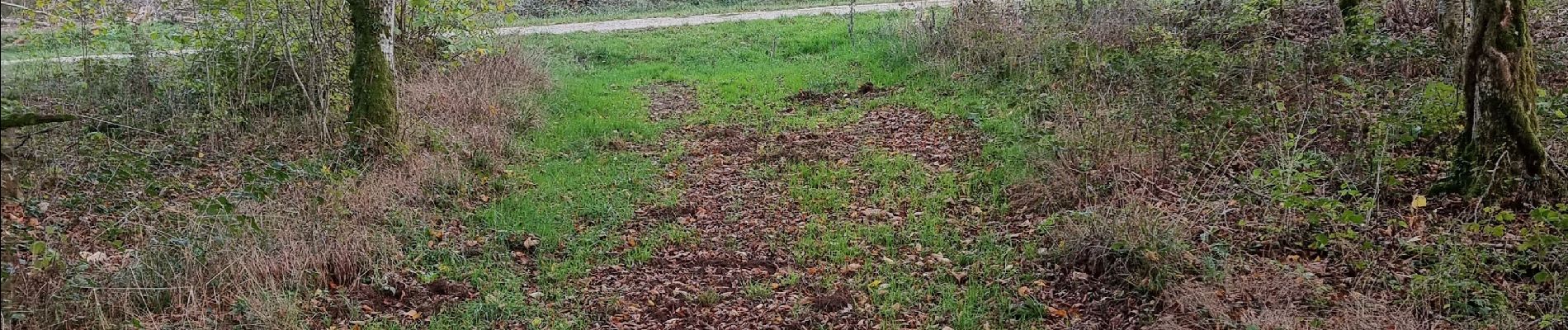 Randonnée Marche Vouthon-Haut - jusqu'au camp américain  - Photo