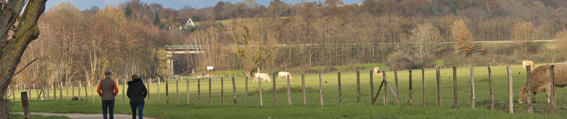 Randonnée Marche Nogent-le-Rotrou - Nogent-le-Rotrou - Saint-Pierre-la-Bruyère 5,5 km - Photo