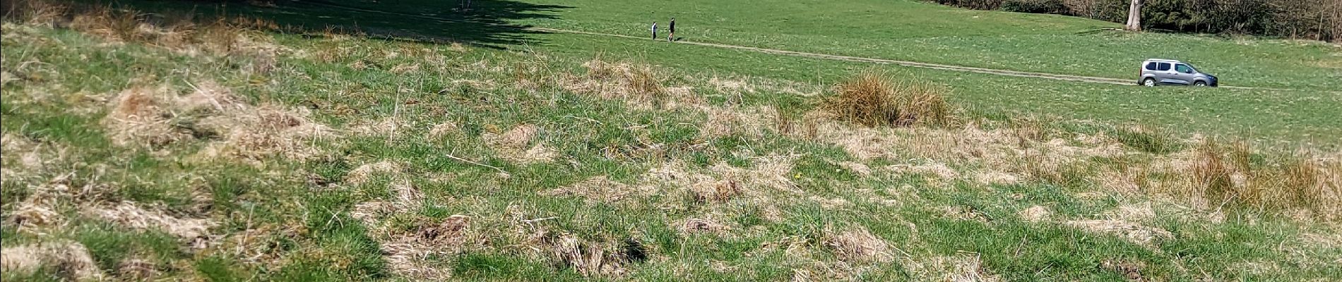 Tour Wandern Stablo - STAVELOT _ Marche Fédérale _ LG _ 16/04/2022 - Photo