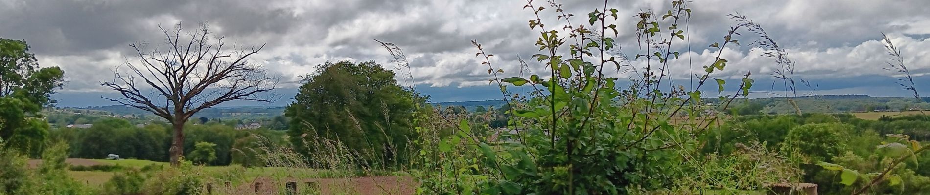 Randonnée Marche Sprimont - plain de fagne . rouge thier . adzeux - Photo