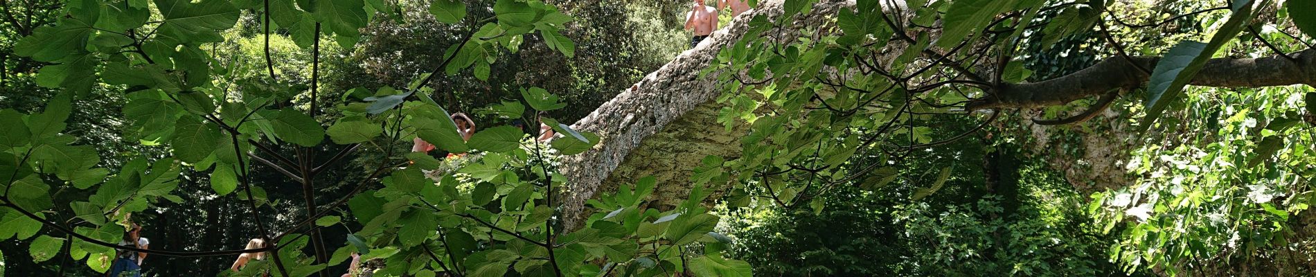 Excursión Senderismo Montauroux - Pont de Rey Pont de Tuves - Photo