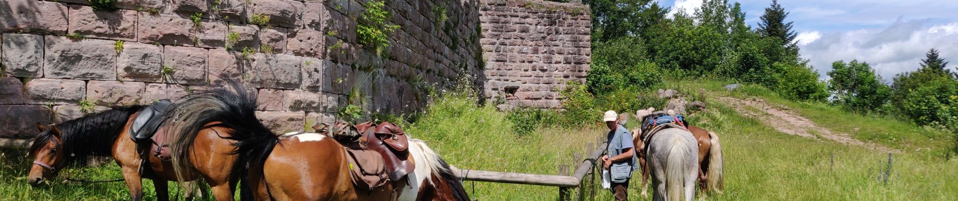 Tour Reiten Urbeis - 2020-06-28 WE Orbey Petit Hohnack Glasborn - Photo