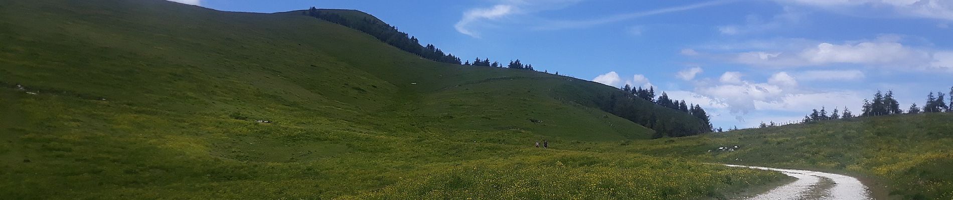 Randonnée A pied Bosco Chiesanuova - San Giorgio - Passo Malera - Rifugio Revolto - Photo