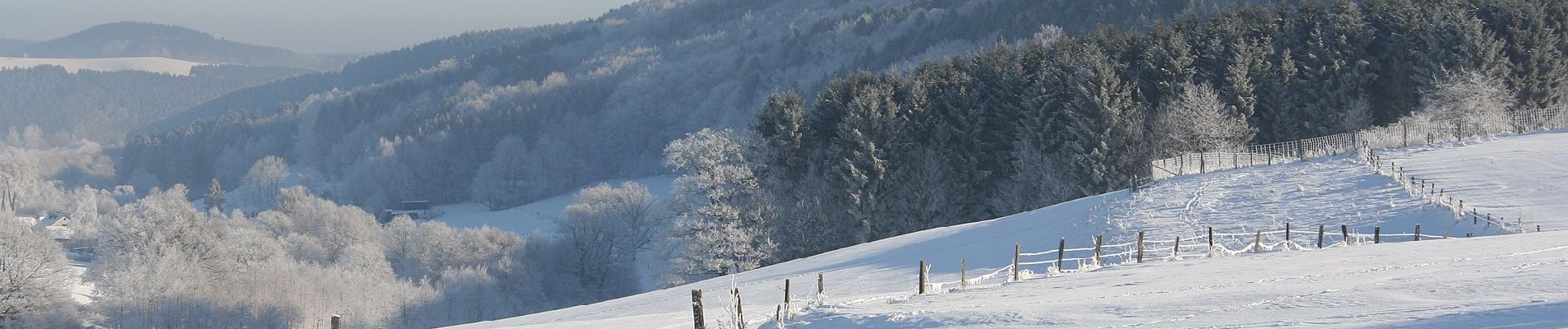 Tour Zu Fuß Meinerzhagen - Wilkenberg Rundweg A3 Benzel - Photo