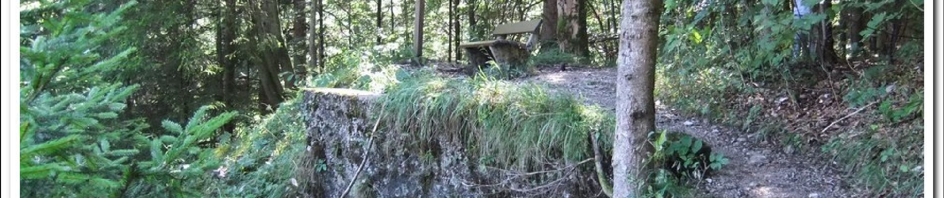 Tour Zu Fuß Schliersee - Bockerlbahn-Weg - Photo