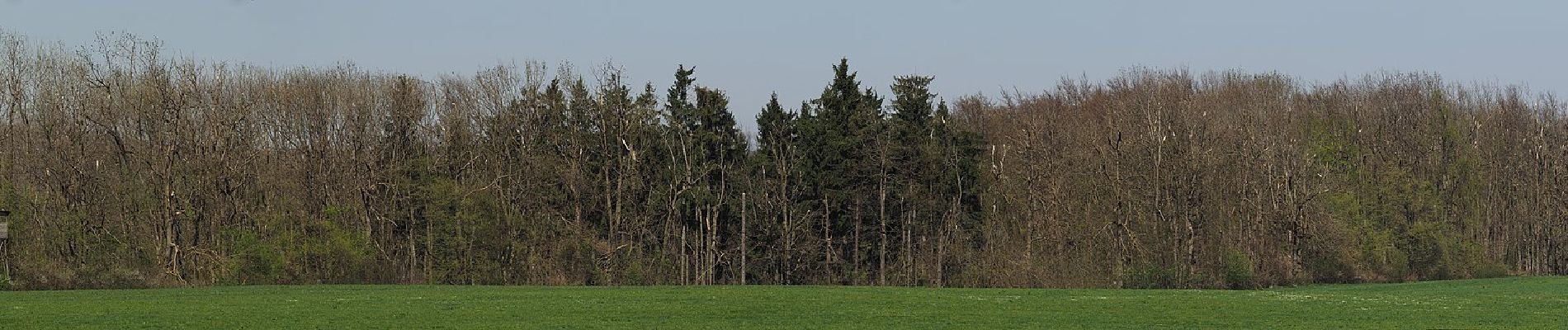 Tocht Te voet Gomadingen - Kuchalb - Kuhfels - Photo