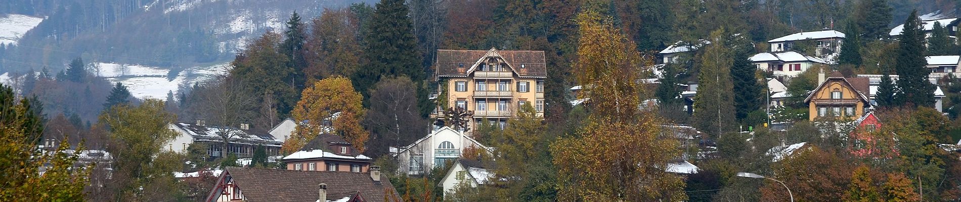 Percorso A piedi Wald (ZH) - Wald - Bannholz - Photo