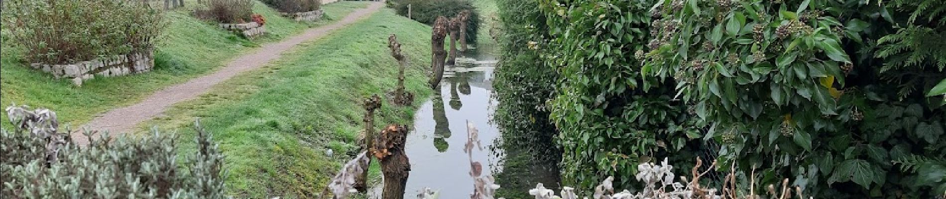 Randonnée Marche Marigny-le-Châtel - au fil de l'eau, de MARIGNY le CHATEL à SAINT FLAVY - Photo