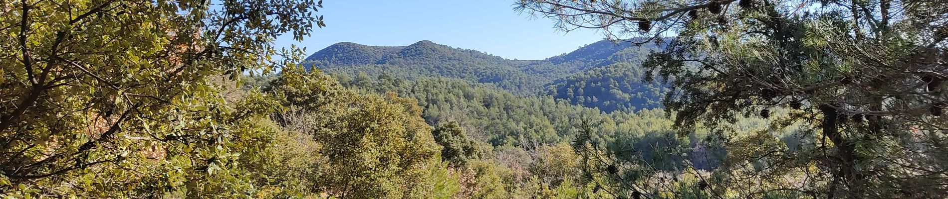 Excursión Senderismo Vitrolles-en-Luberon - Vitrolles - Photo