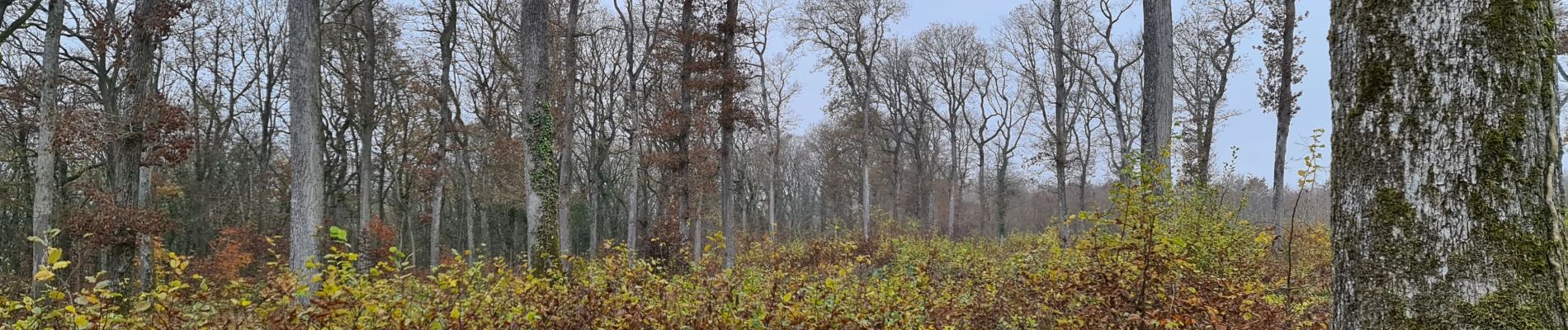 Randonnée Marche Flavigny-sur-Moselle - Flavgny - la boucle verte - Photo