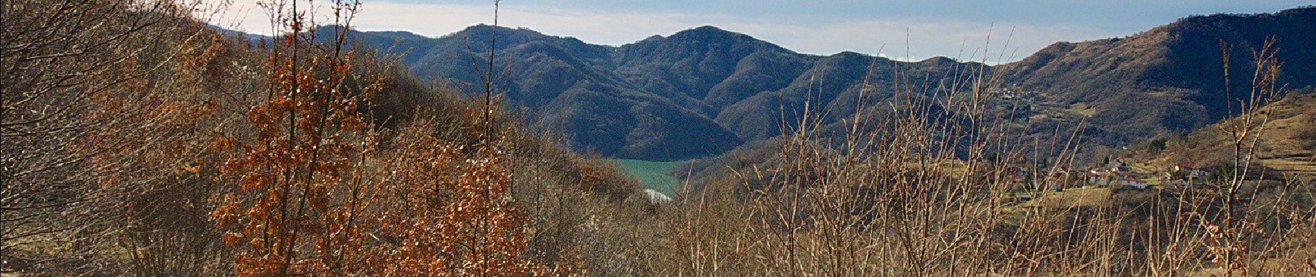 Tour Zu Fuß Rondanina - Anello di Rondanina - Photo