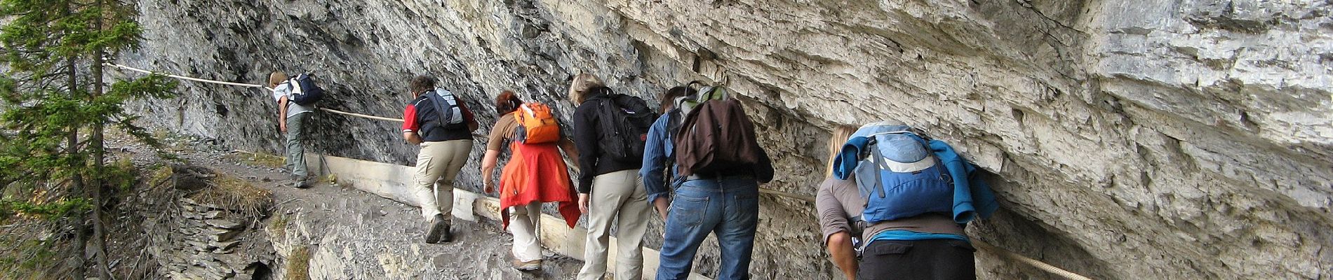 Excursión A pie Icogne - Pra du taillour-Pas de l'ours - Photo