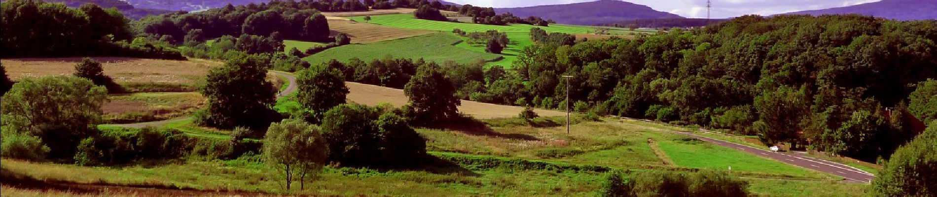 Excursión A pie Bad Bocklet - Bad Bocklet - Rundweg F - Photo