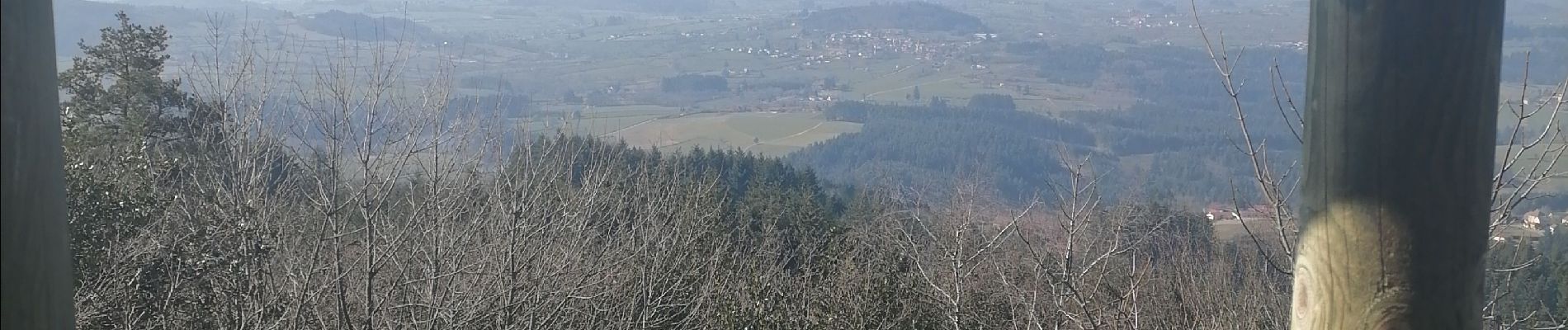 Tour Wandern Montmelard - St cyr - Photo